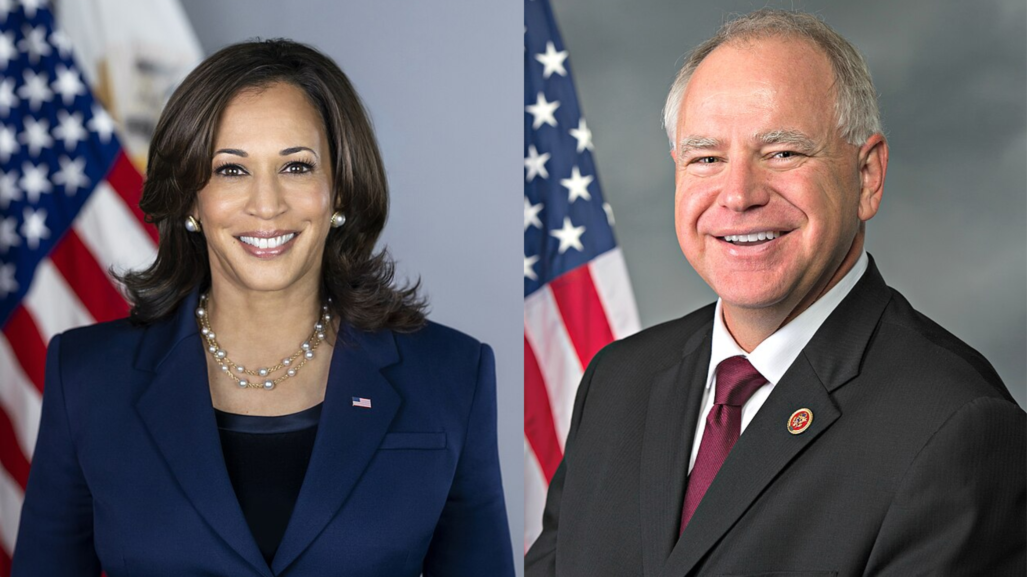 Kamala Harris elige a Tim Walz como candidato a vicepresidente