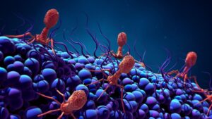El CSIC recibe más de 700.000 euros de la Fundación Ramón Areces para impulsar la investigación en salud