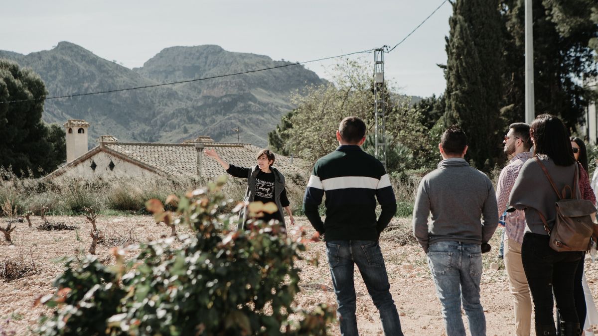 Bodegas Luzón arranca la XIV edición de ‘Vendimia Abierta’ 