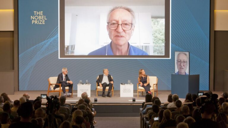 “La Inteligencia Artificial nunca va a poder sustituir a la creatividad humana”