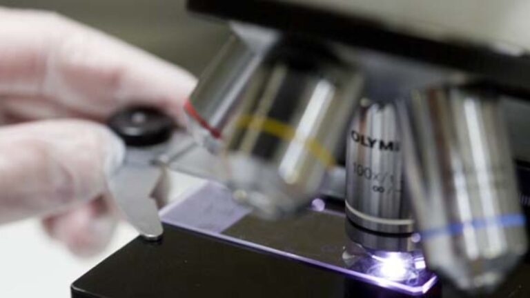 La Fundación Ramón Areces renueva su compromiso con la ciencia básica de la malaria en ISGlobal