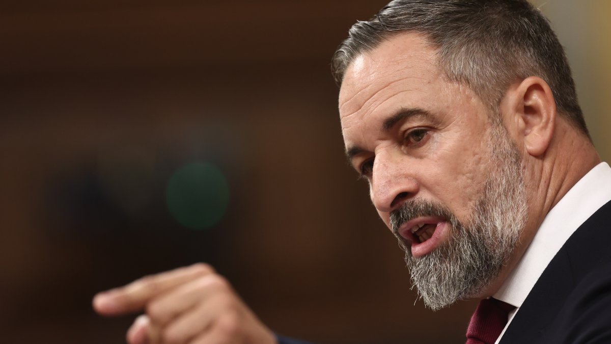 Abascal insiste en llevar al Gobierno ante la Justicia por traición: “No hay excusas para no intentarlo”