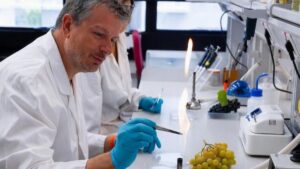 El investigador Ángel Medina regresa a España con el Programa de Retorno del Talento de la Fundación Ramón Areces